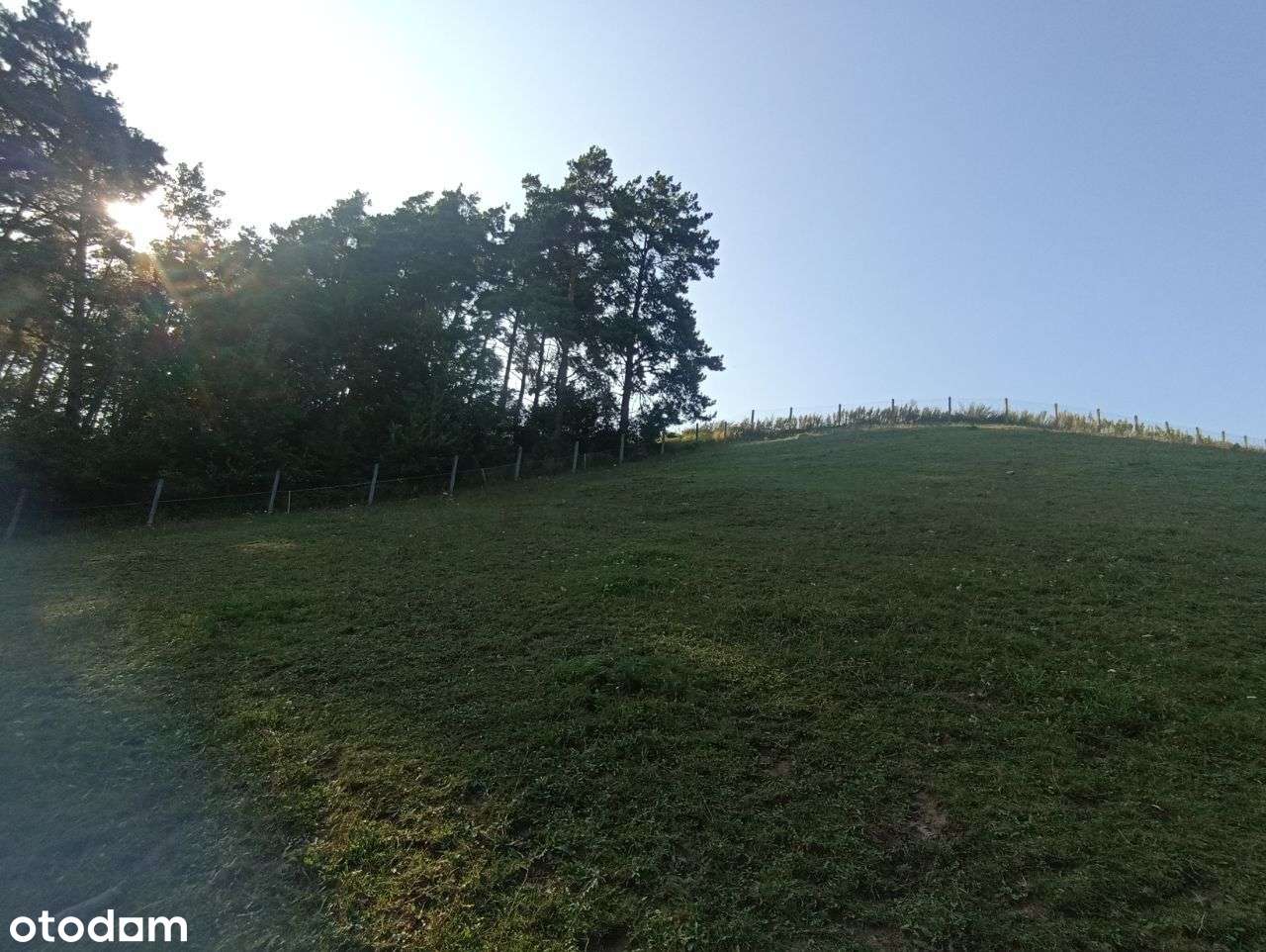 Działka nad jeziorem Wielki Głęboczek  80ar-1.6ha linia brzegowa - Pełny obrazek: 4/5