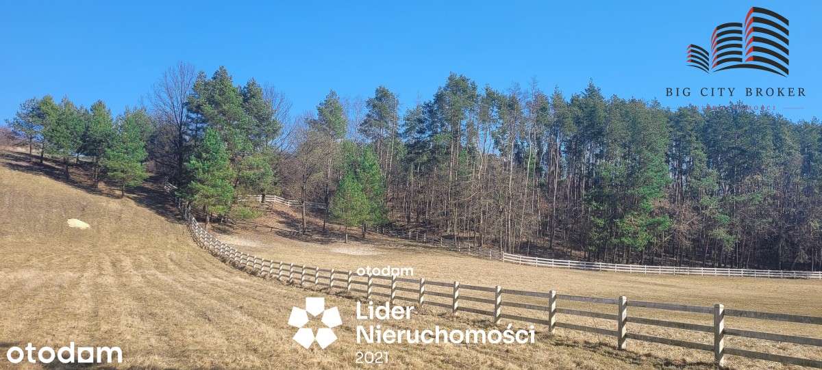 Piękna działka 2ha z lasem 50ar - Pełny obrazek: 5/5