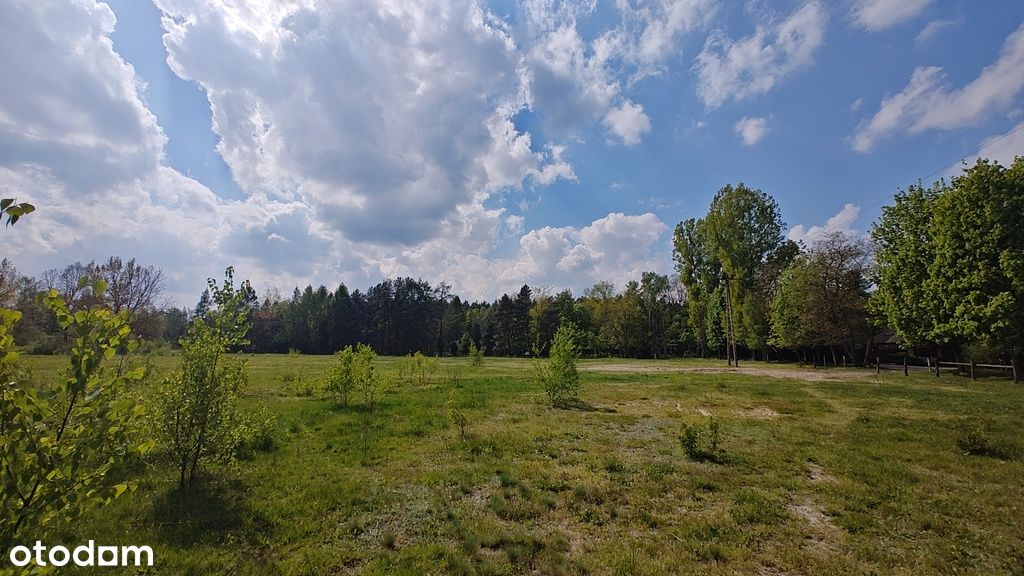 Przestronne działki w Janinowie