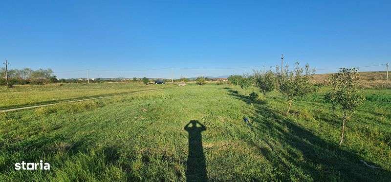 Teren intravilan Lugoj - Imagine principală: 4/5