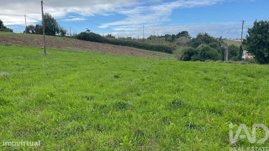 Terreno em Alcobaça e Vestiaria de 3220,00 m2 - Grande imagem: 4/14