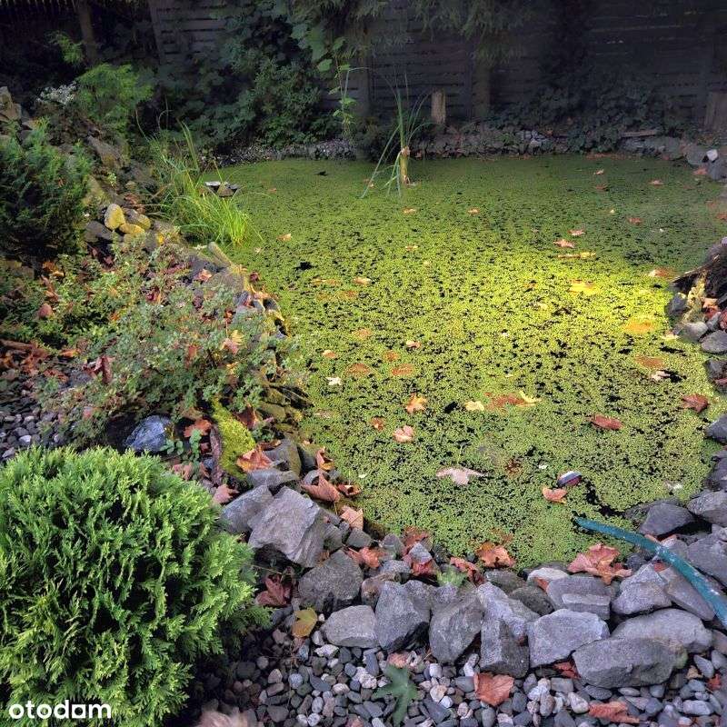 Ustroń-nowoczesna willa o pow. 200m2, działka 18ar-17