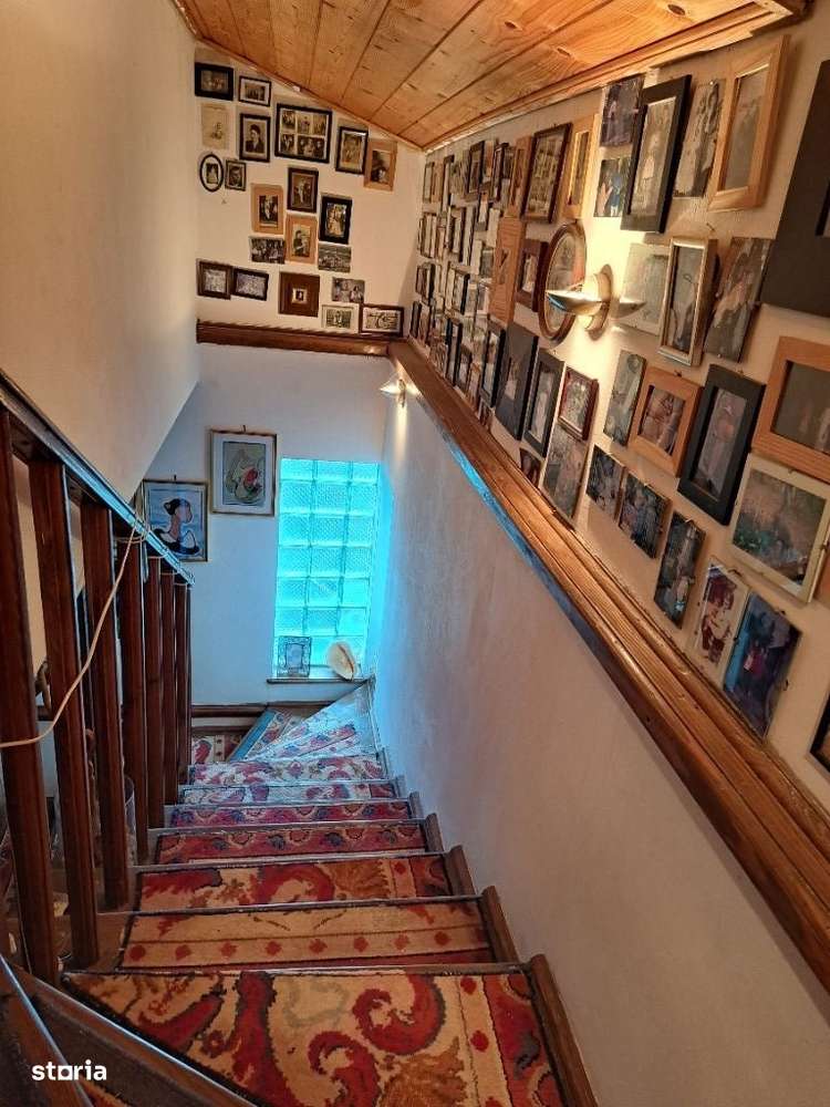 Adunatii Copaceni-13