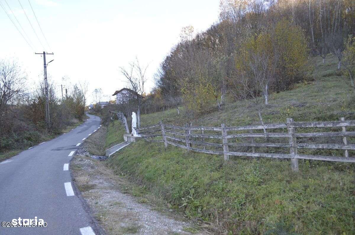 Babana - Centru - Primarie, Teren intravilan 13742 mp - Imagine principală: 5/17