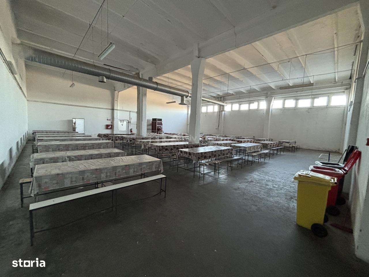 Complex industrial 30130  mp construit - Teren 42558 mp-8