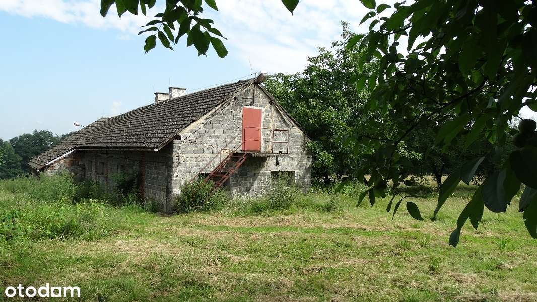 Siedlisko z budynkiem mieszkalnym w Ochabach Małych na sprzedaż.-4