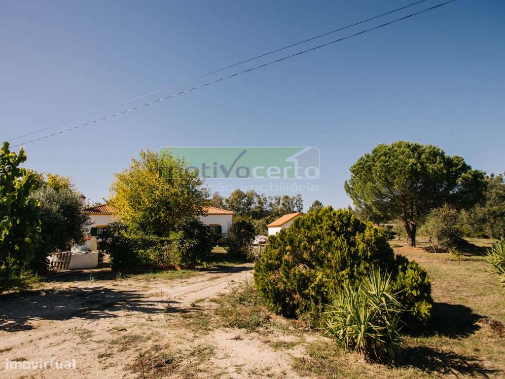 Moradia Térrea T4 em Quinta de 11.250 m² com Árvores de Fruto. Em S...-35