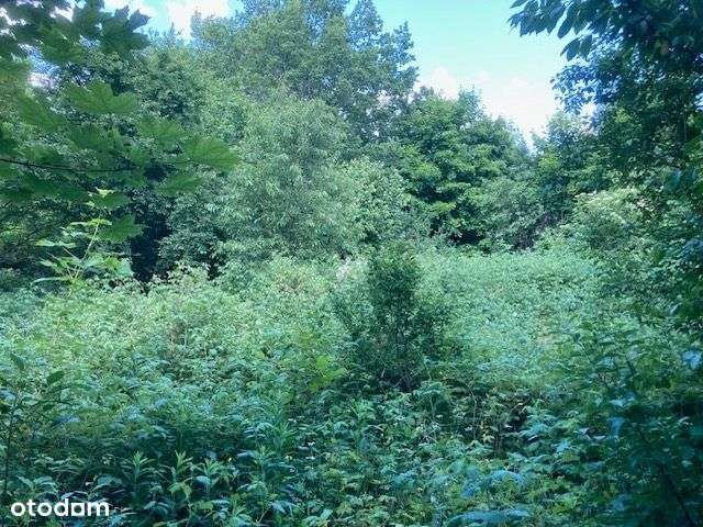 Atrakcyjna działka dla dewelopera - Pełny obrazek: 5/8