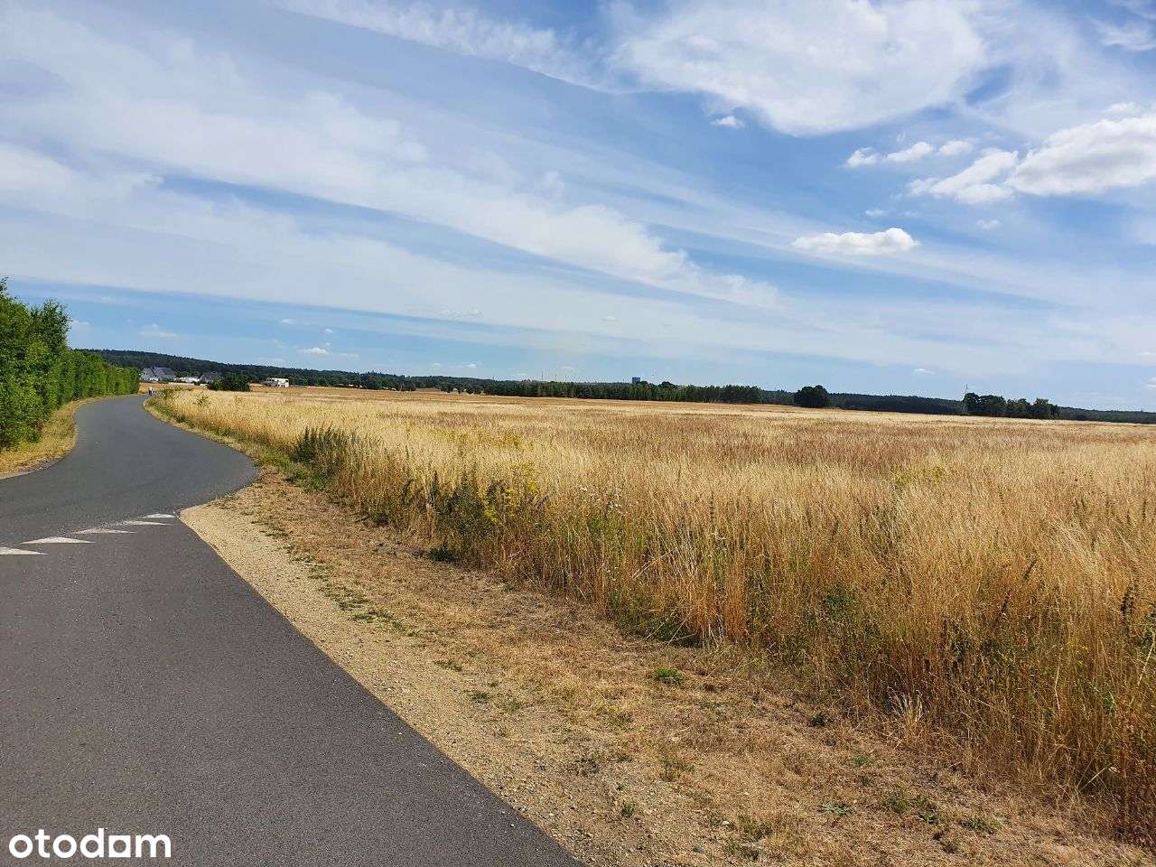 Działka rolno-budowlana Łagoszów Wielki 5,68 ha - Pełny obrazek: 2/4