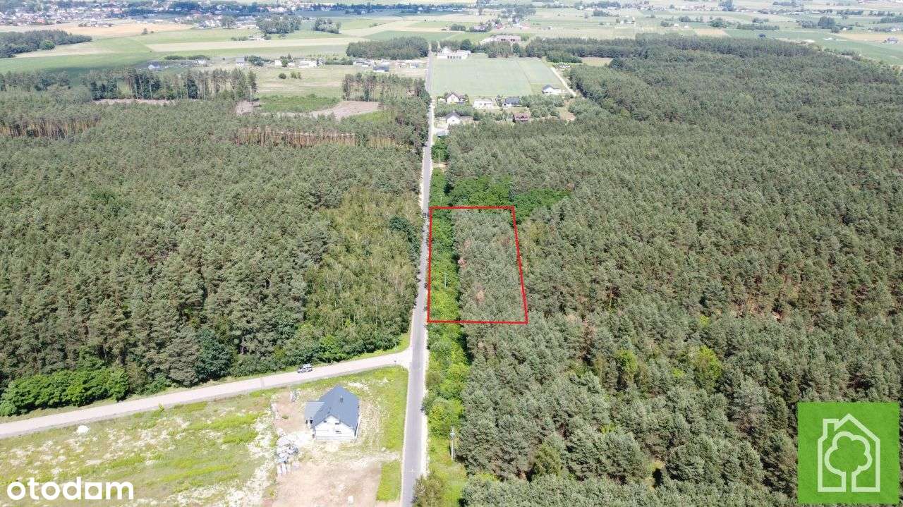 Działka, 3 517 m², Obrowo - Pełny obrazek: 4/10