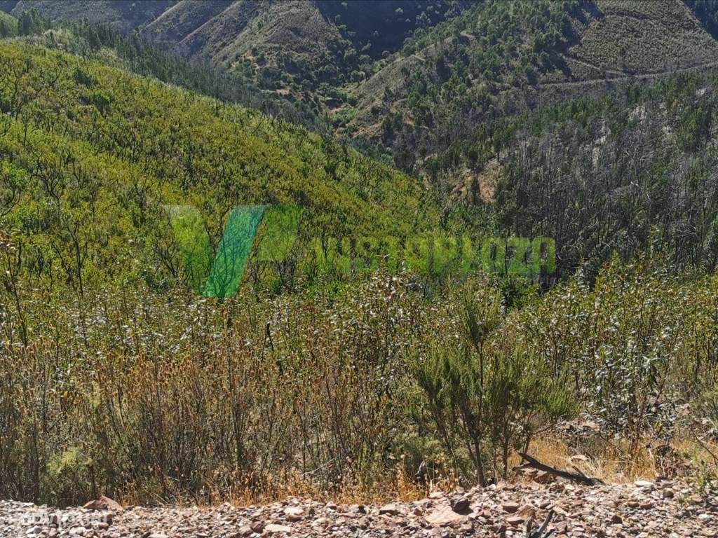 Terreno Rústico, Vista Deslumbrante para Barragem de Odelouca - Grande imagem: 5/12