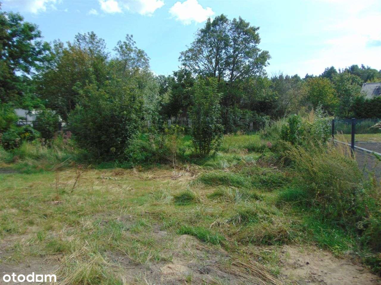 Działka budowlana Papowo Osieki ul Leśna - Pełny obrazek: 5/7