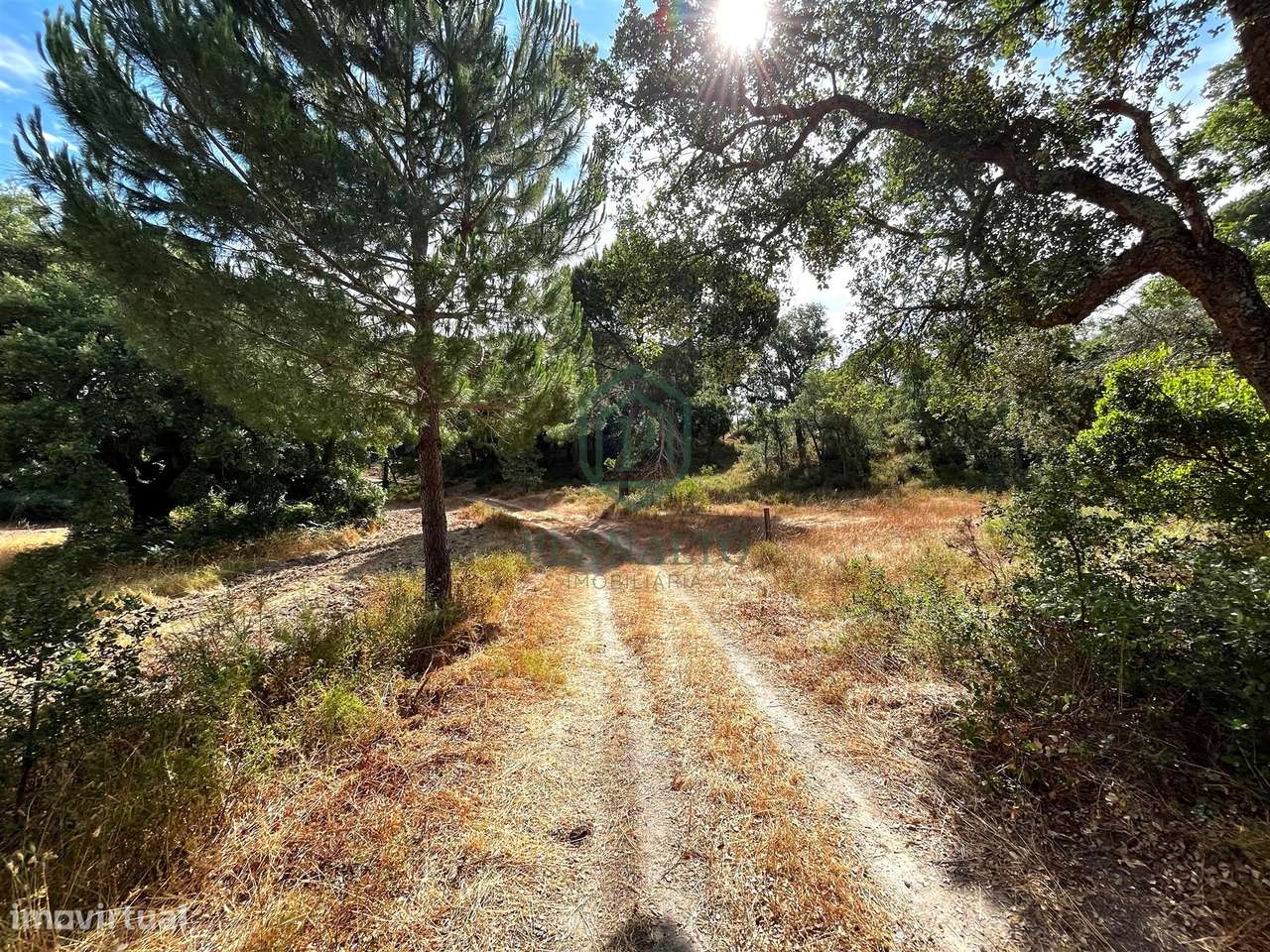 Quinta >=T10 Venda em Cortiçadas de Lavre e Lavre,Montemor-o-Novo-37