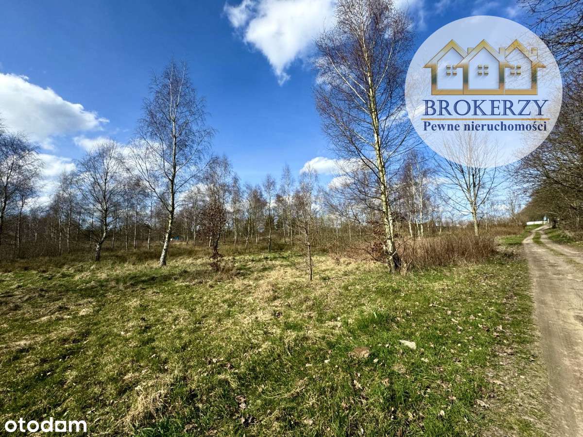 570734 - Pełny obrazek: 2/2