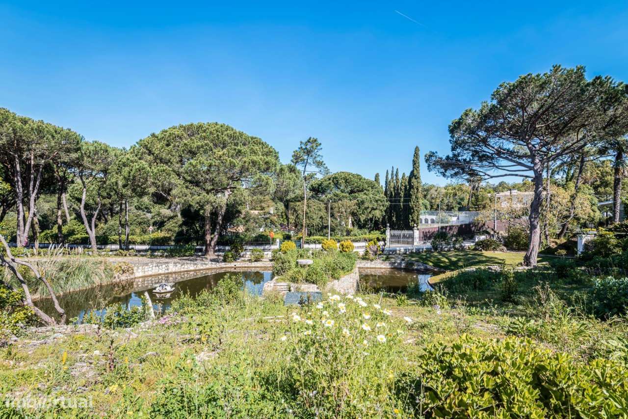 Moradia T12 e terreno 7100 m2-3