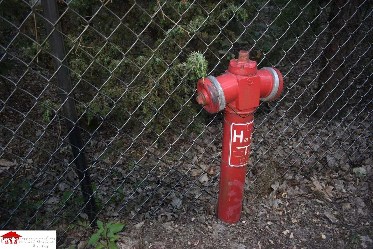 Pod pensjonat w otulinie lasu 37 km od Warszawy-4