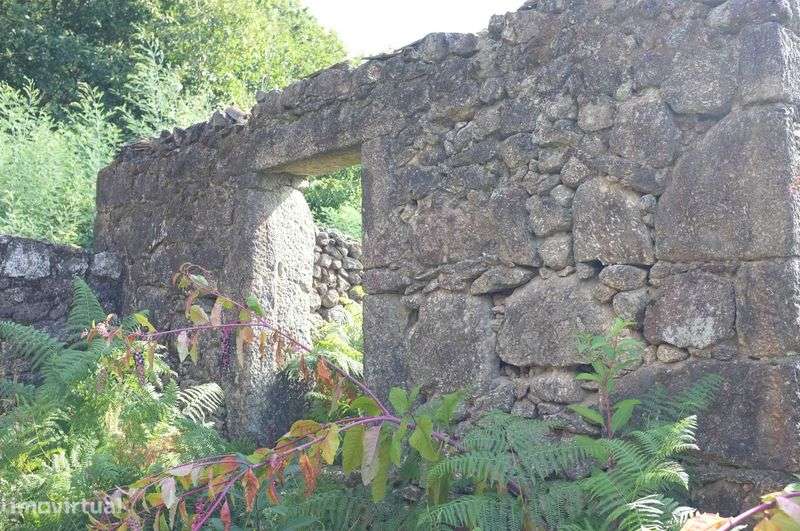 Oportunidade: Moradia para Renovar em Tregosa - Grande imagem: 4/10