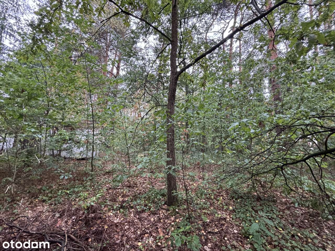 Działka budowlana Magdalenka cena do negocjacji - Pełny obrazek: 5/6