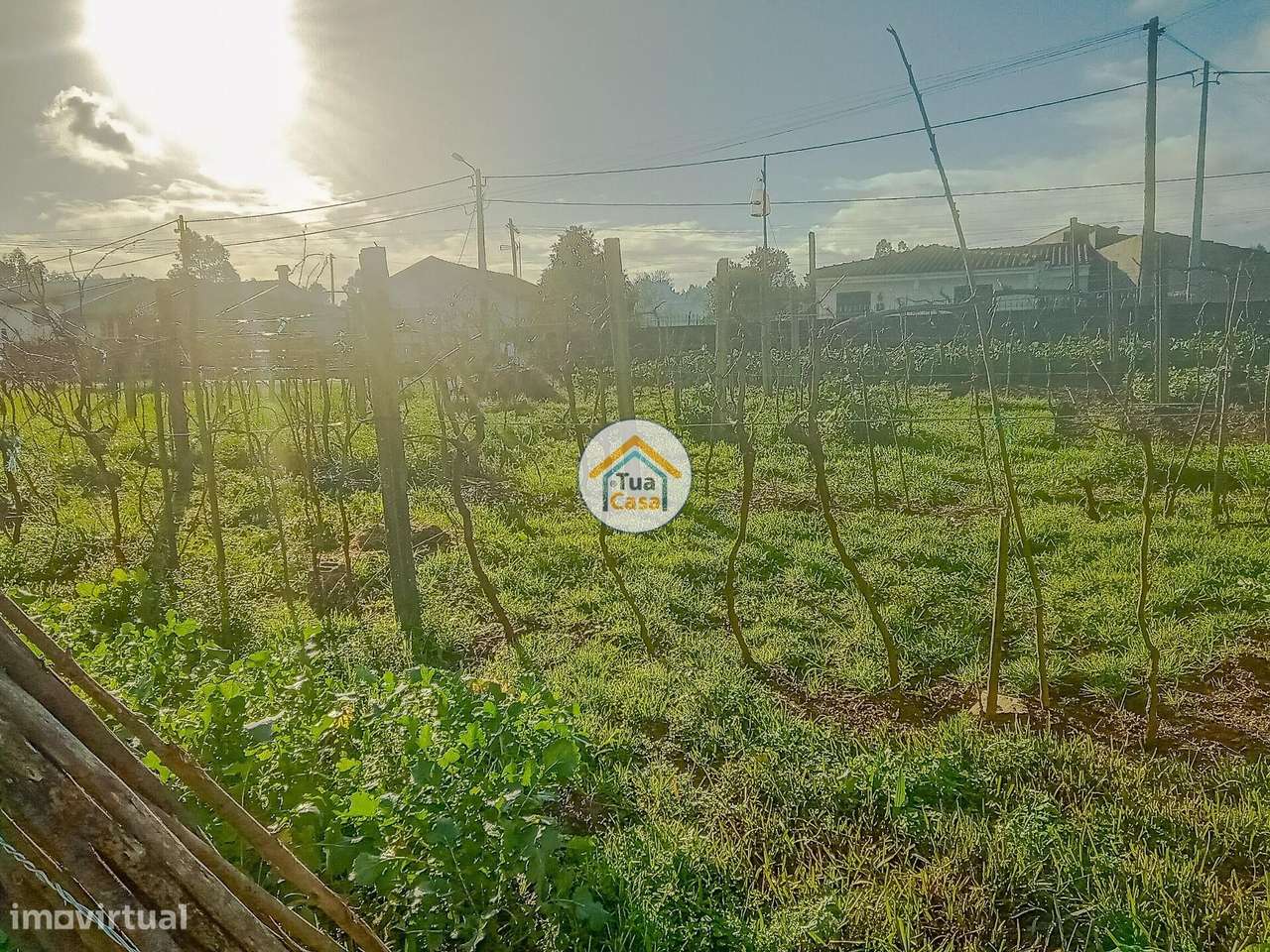 Lote Urbano em Assilhó, Albergaria-a-Velha - Grande imagem: 2/15