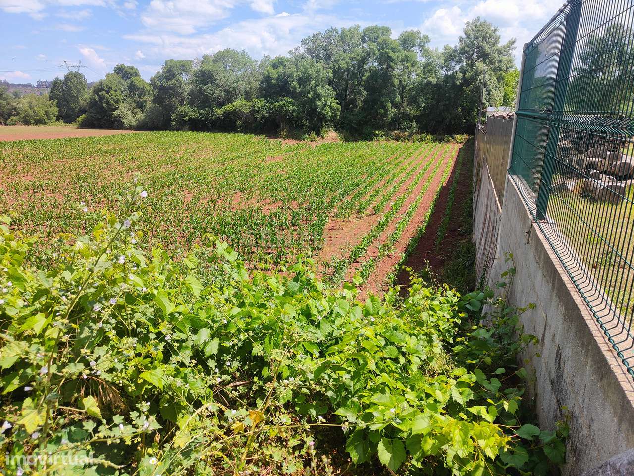 Terreno rústico - Grande imagem: 3/7