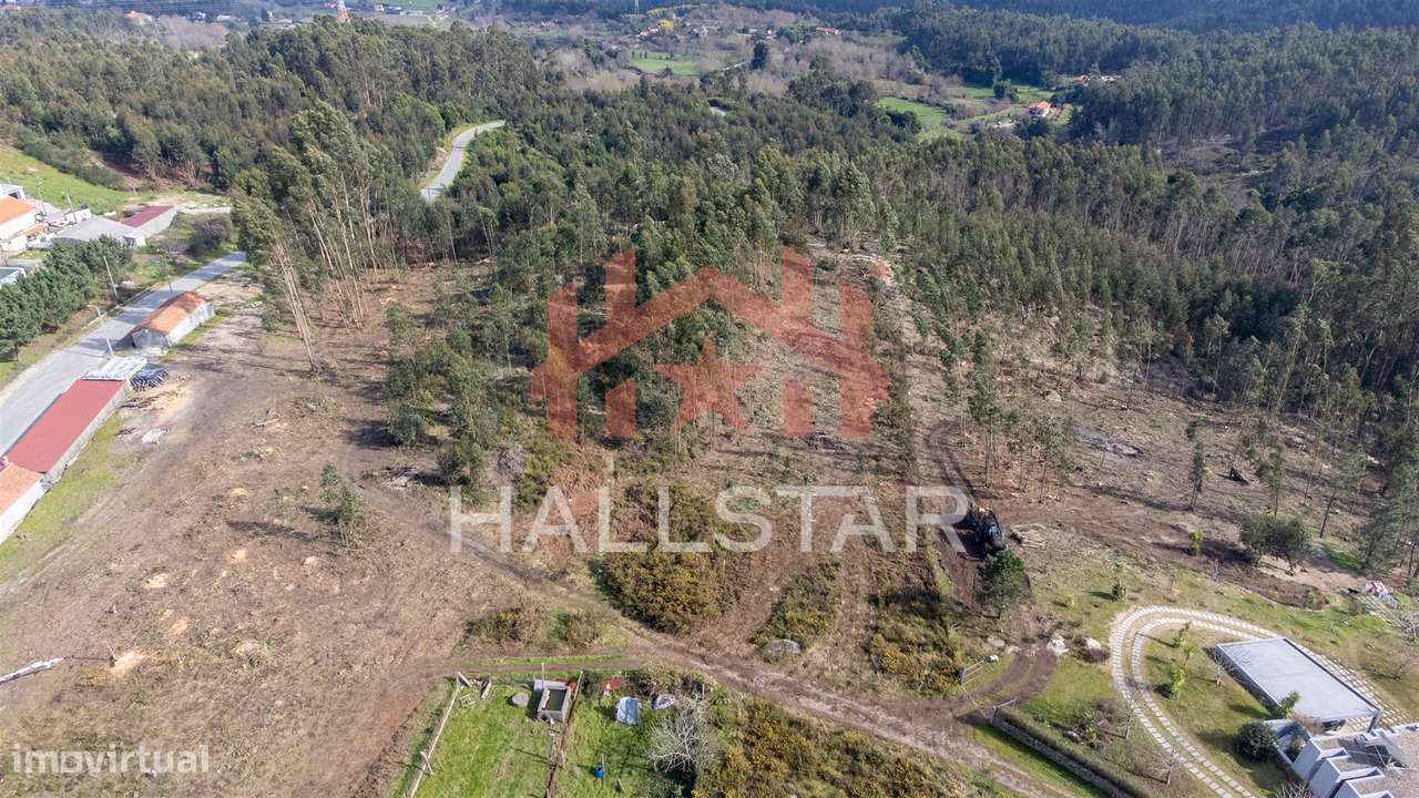 Terreno Florestal / Área Total 2.480m2 / Penafiel - Grande imagem: 4/8