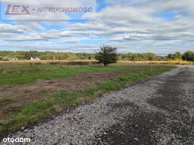 Ciągowice – działka blisko lasu i nowej zabudowy-7