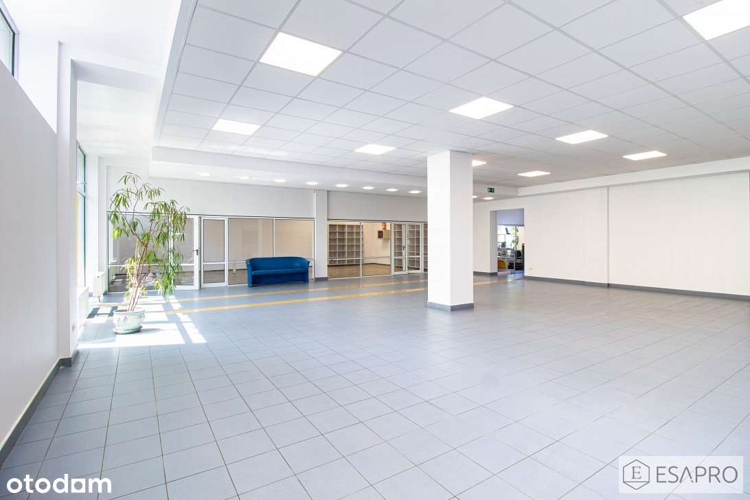 Pow. Handlowa, Pow. Magazynowa, Pow. Biurowa - Duży Parking - Pełny obrazek: 2/9