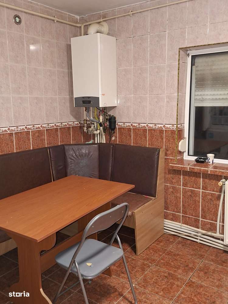 Apartament Craiovița-8