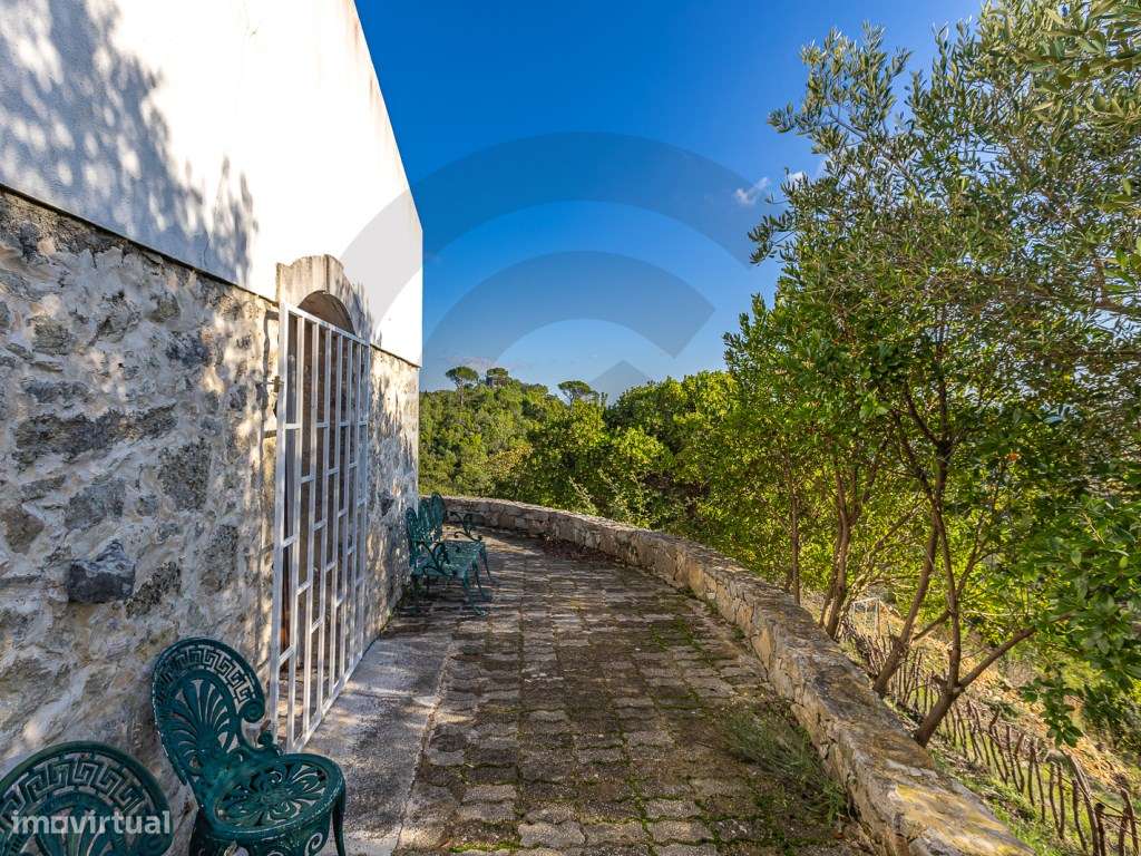 Quintinha - 5 he. em modo de prod. biológica, e construção rural co... - Grande imagem: 4/11