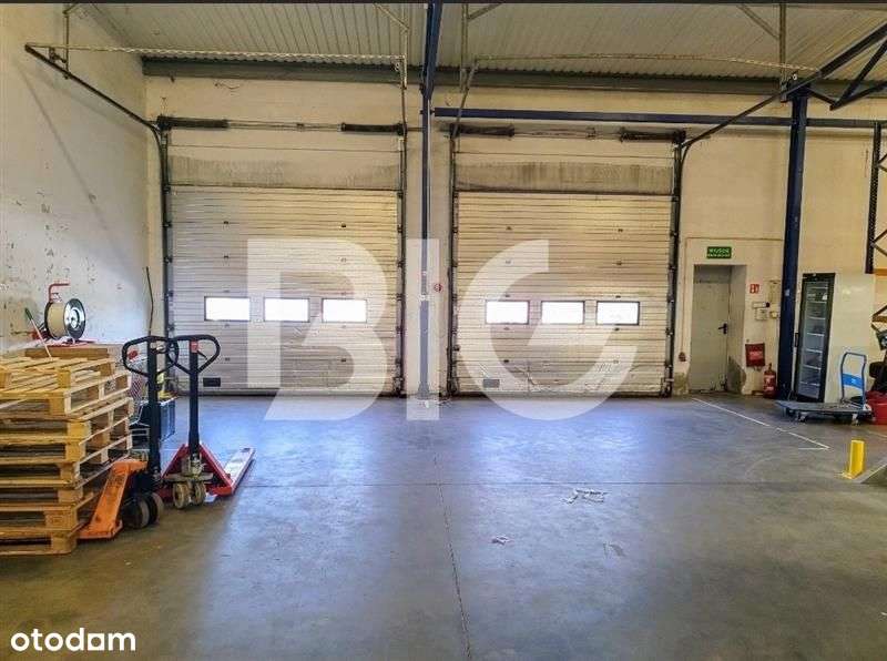 Obiekt magazynowo-biurowy. Bdb. punkt komunikacyjn - Pełny obrazek: 5/13