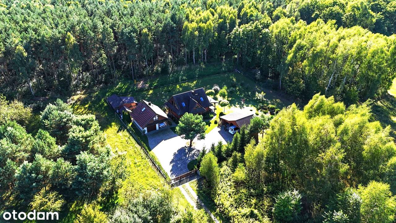 Dom z bali w sercu lasu / 2450m2 działki / Holendry, gm. Dobroszyce - Pełny obrazek: 4/19