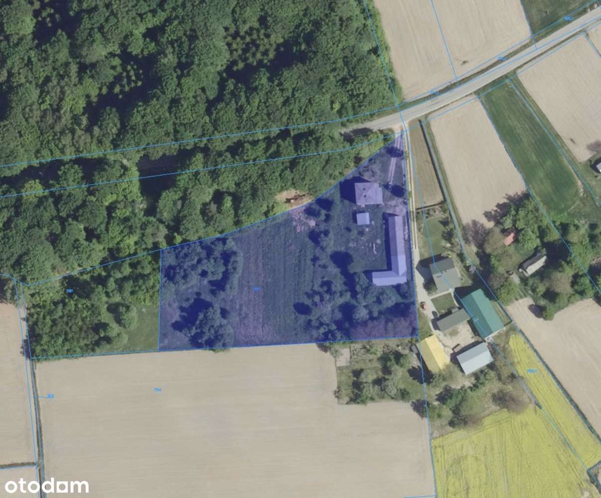 Wierzchowiska Pierwsze - siedlisko pod lasem-1