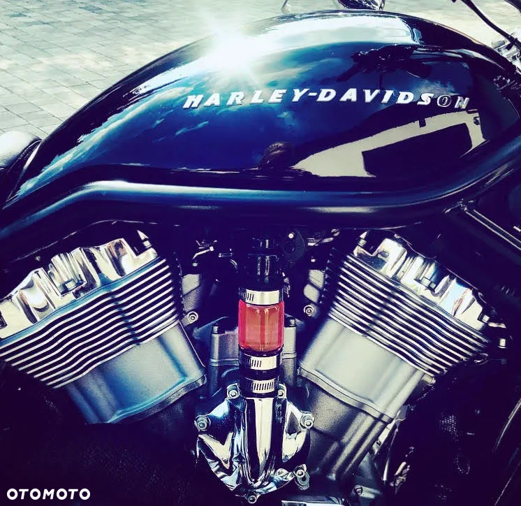 Harley-Davidson V-Rod Street Rod - 2