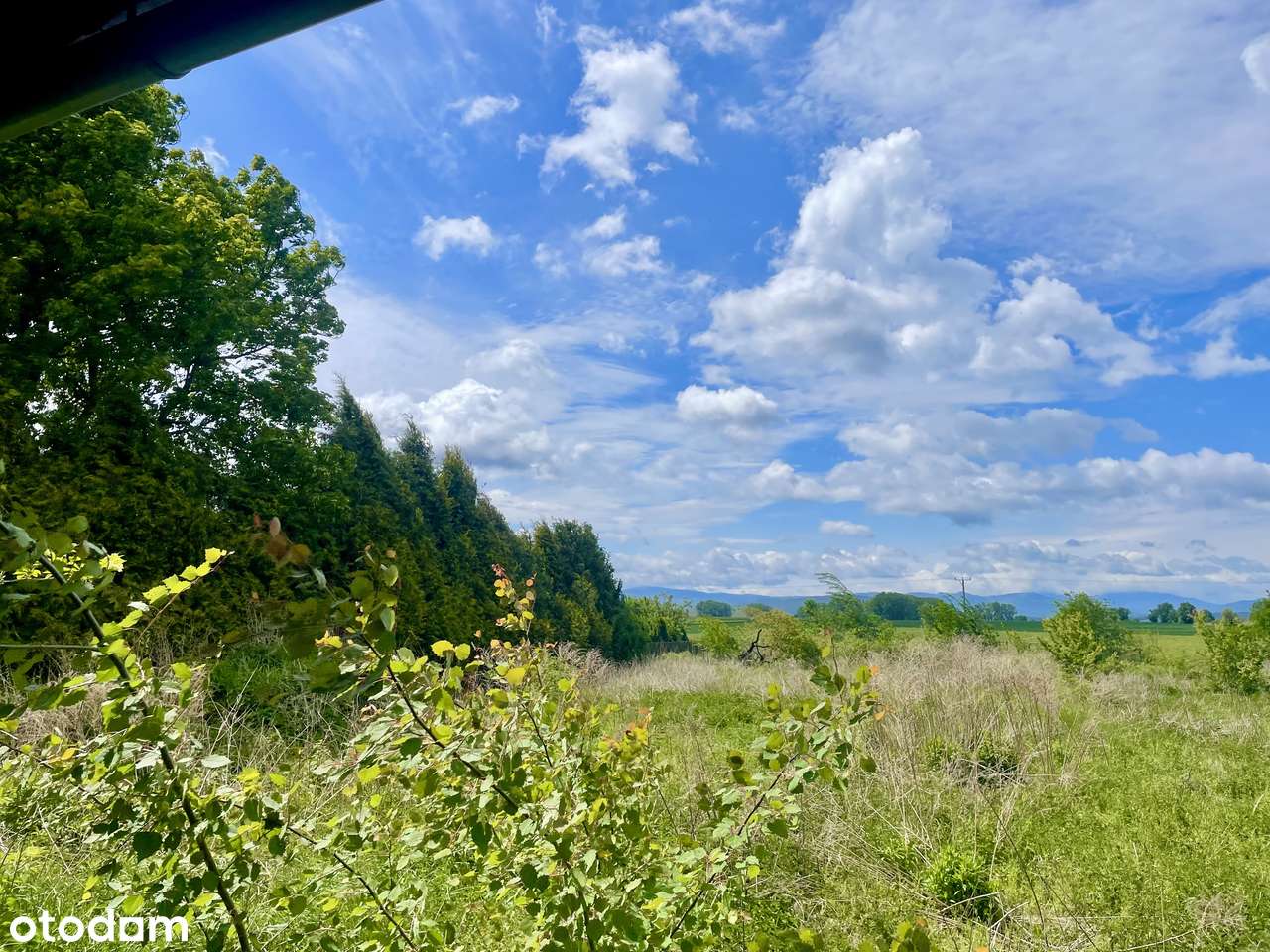 Siedlisko z Widokiem na Góry - 40 Arów-4