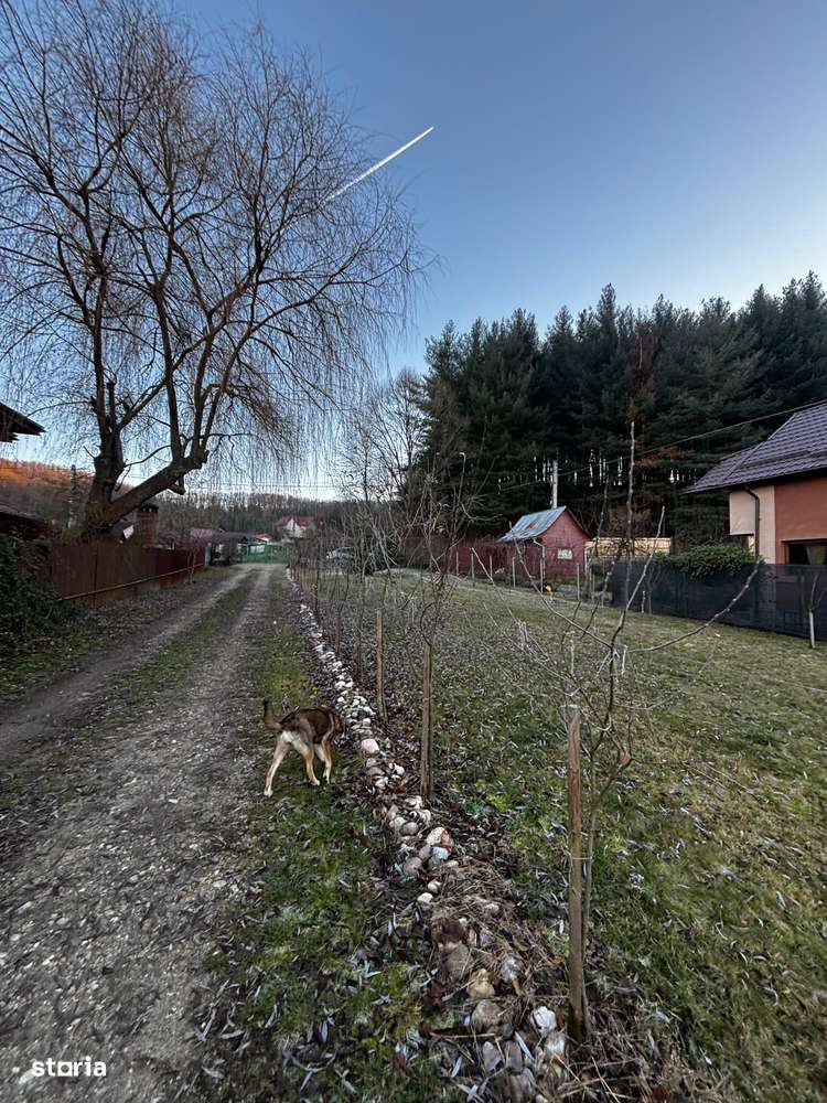 Vând teren 561 mp Bascov, str. Florea (lângă pădure) - Imagine principală: 4/6