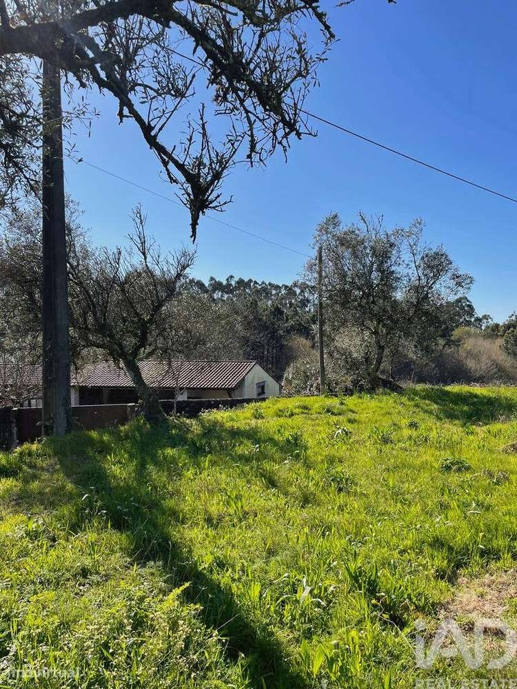 Terreno Agrícola em Montaria - Grande imagem: 2/11