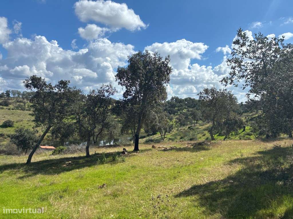 Quinta T2 em Serpa | Vista para a barragem-52