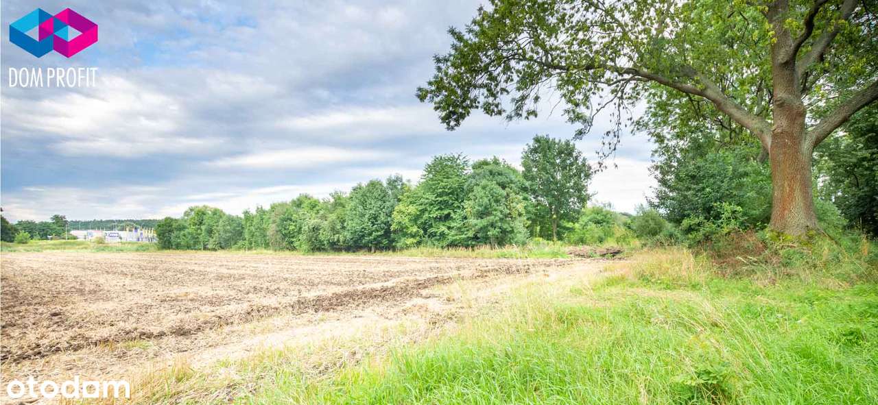 *** Blisko 15 arów relaksu *** - Pełny obrazek: 4/11