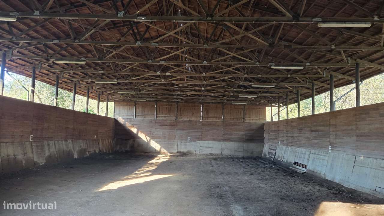 Quinta Equestre & Boutique Retreat-23