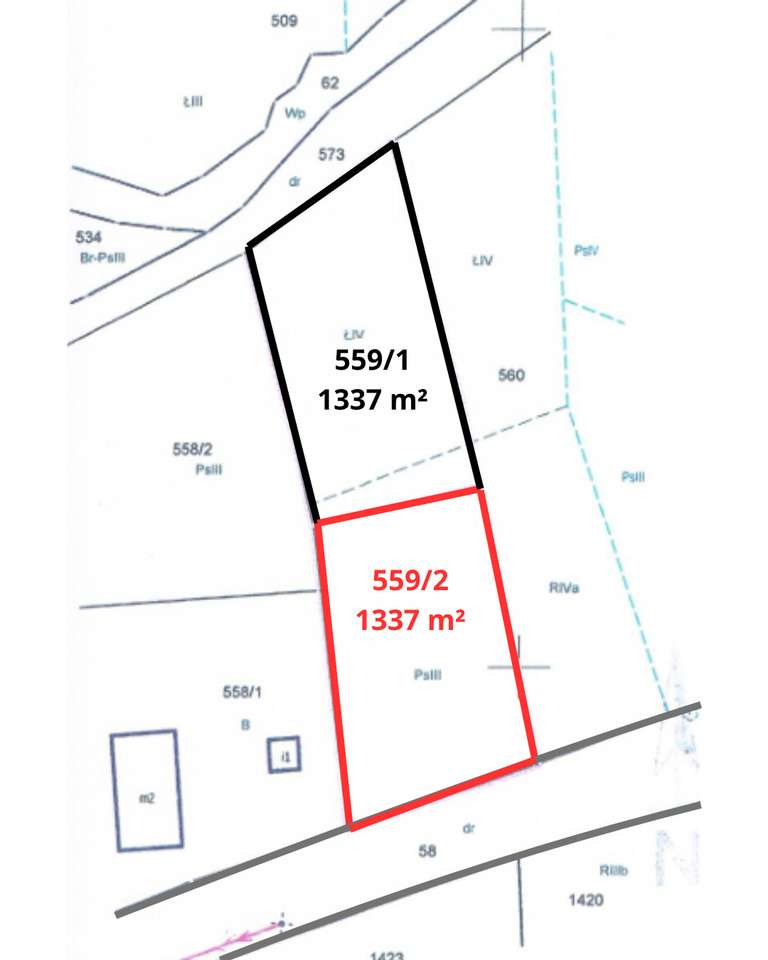 Działka w super lokalizacji - Stary Wielisław-9