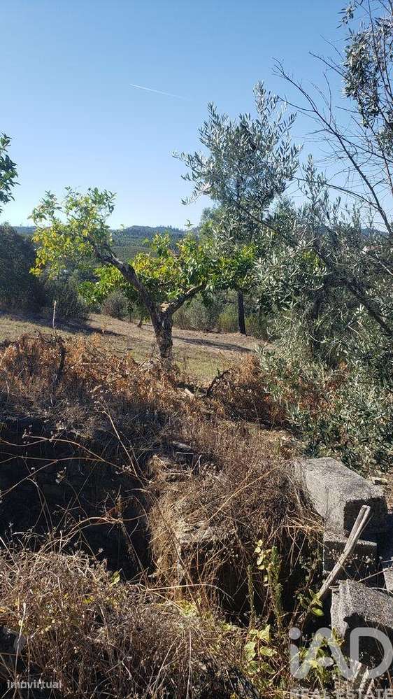 Moradia isolada T4 em Cardigos de 158,85 m2-26