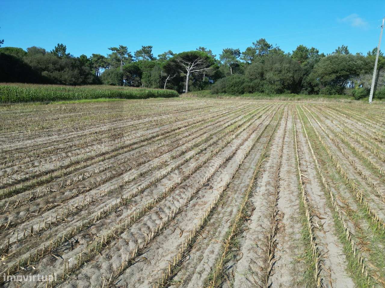 Terreno Rústico com 2,5 Hectares | Zona do Rio Alto – Estela, Póvoa de - Grande imagem: 4/24