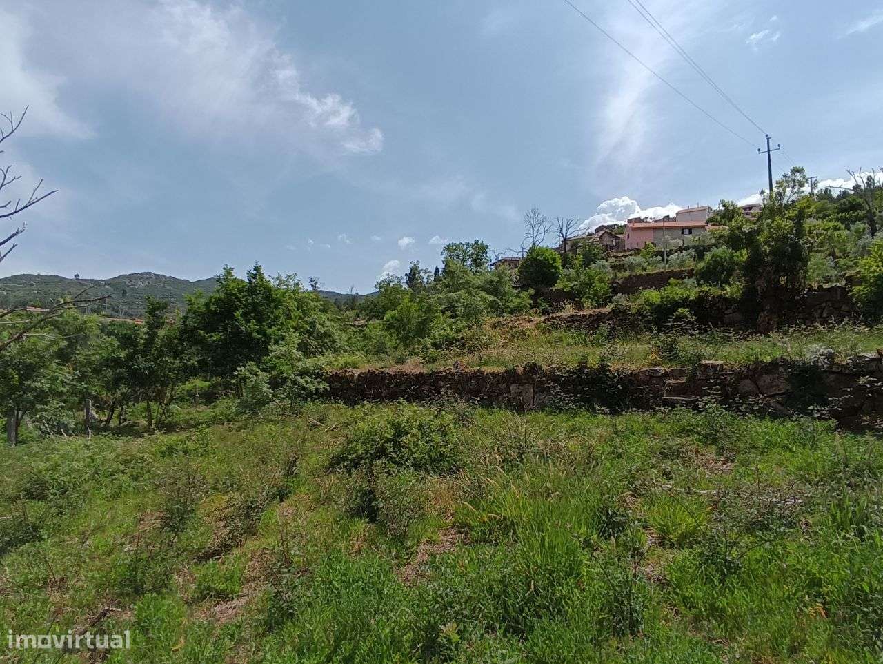 Quinta – Vouzela - Grande imagem: 3/41