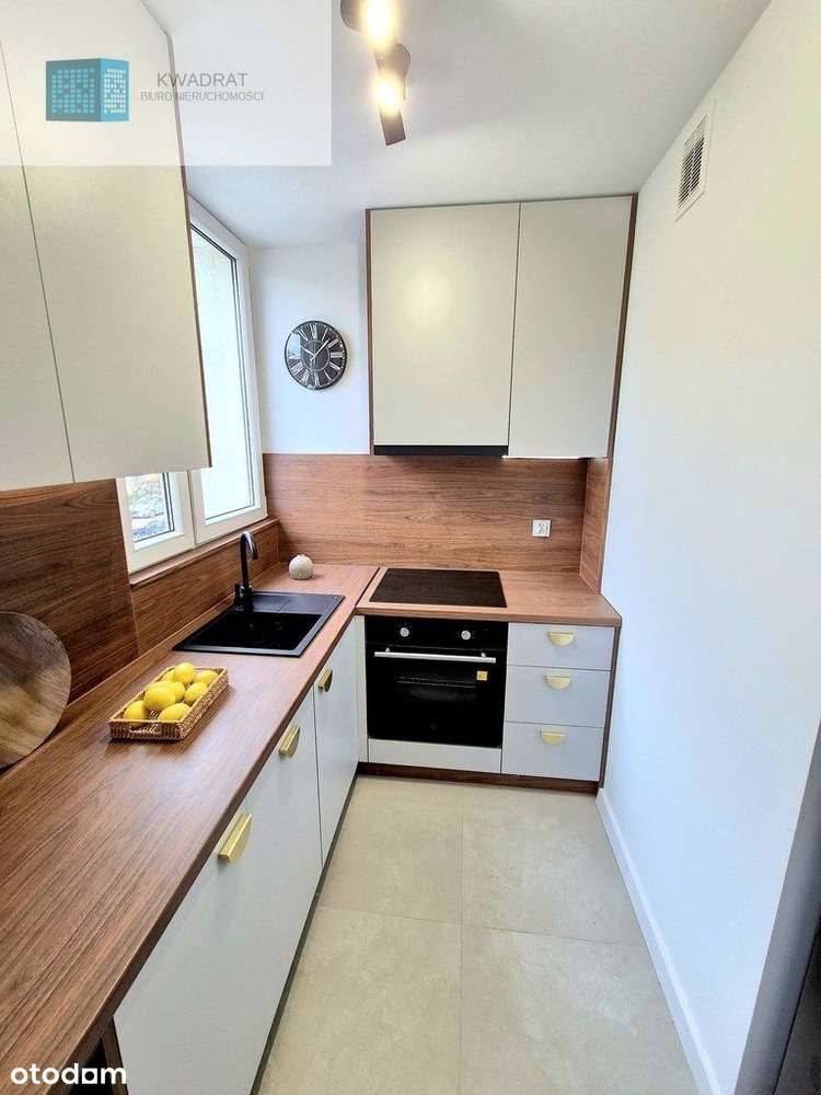 3 pokoje do wprowadzenia Dąbrowa - Pełny obrazek: 4/11