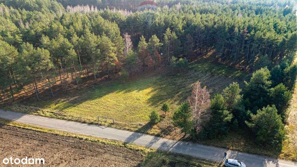 Działka, 7 770 m², Prabuty - Pełny obrazek: 5/5