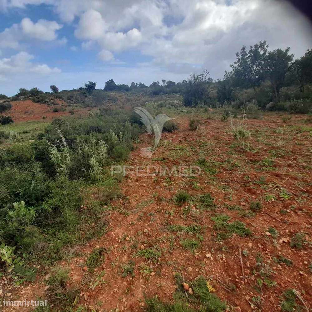 4 terrenos Rústicos  Alecrineira-Cerro Azul - Grande imagem: 3/11