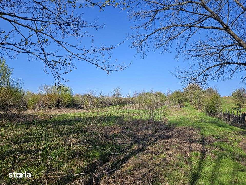 Teren 4606 mp - Sat Balta - Runcu - la aproximativ 20 km de Targu Jiu - Imagine principală: 4/9