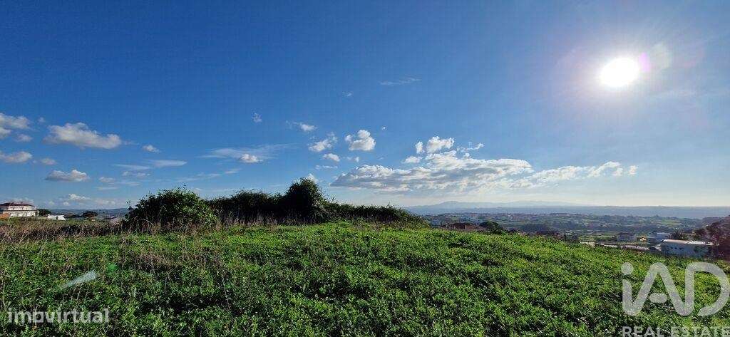 Terreno em Igreja Nova e Cheleiros de 10000,00 m2