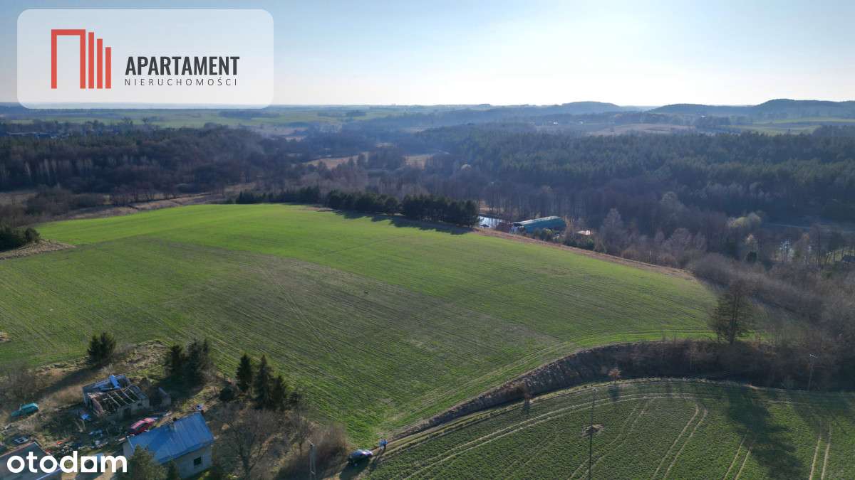 Siedlisko z Wz, blisko trójmiasta - Pełny obrazek: 5/11