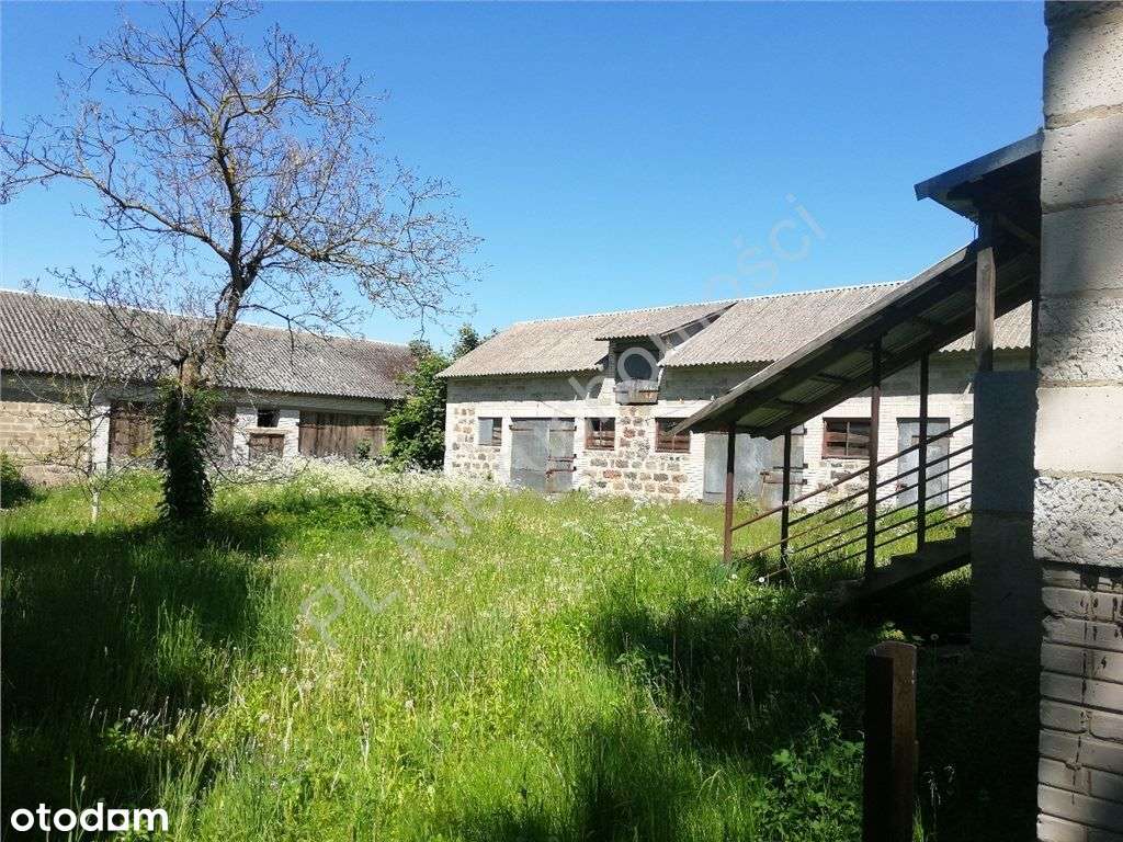 Siedlisko z wieloma możliwościami zagospodarowania - Pełny obrazek: 5/20